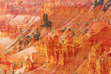 Red sandstone hoodoos in Bryce Canyon National Park in Utah, USA
