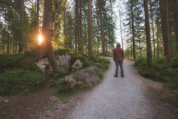 Fototapeta premium Man standing at the sunny forest path