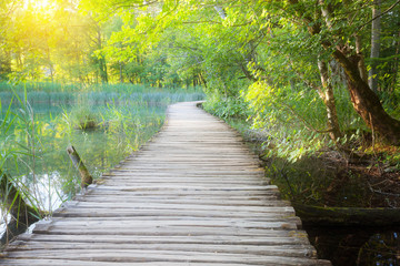 Fototapeta premium Drewniana ścieżka przez rzekę w słonecznym zielonym lesie
