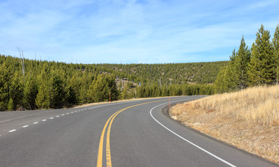 Fototapeta premium road in the middle of the grand Yellow stone national park
