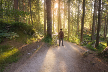Man standing at the sunny forest path