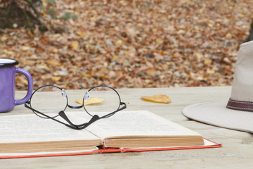 ormanda açık havada okumak