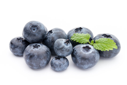 Close up of a blueberry branch isolated over white.