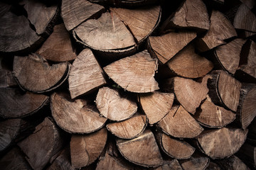 Fire woods background