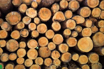 Möbelaufkleber Holzstapel © DEWI-Stockphotos