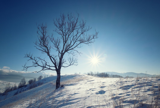 Fototapeta Winter mountain hills