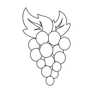 recommend clip art: Grapes icon in outline style isolated on white background. Fruits symbol stock vector illustration.