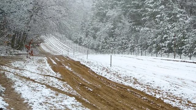 Border guards on ATV make inspection border in the winter season. The border area between Ukraine and Poland. Two border guards ATV.