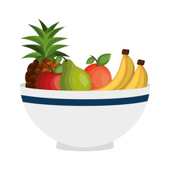 fruit salad plate isolated icon vector illustration design