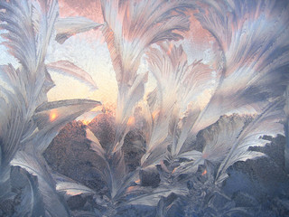 Beautiful winter pattern