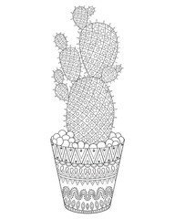 Zentangle Cactus vector illustration. Hand drawn outline desert