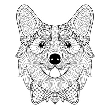 Zentangle Welsh Corgi with bow tie in monochrome doodle style. H