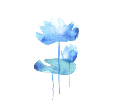 simple water lotus blooming flowers. watercolor hand drawn illus