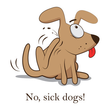 Flea dog. Scratching Bugs. Vector illustration on white background. Life. bites. animal. Symptoms .