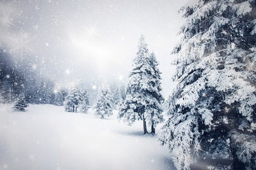 Obraz premium snowy winter landscape