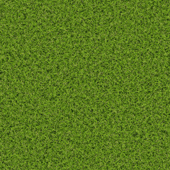 Grass texture hi-resolution - 127250921