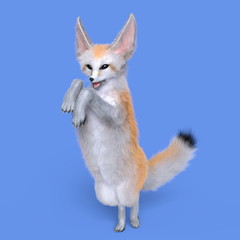 Obraz premium フェネック