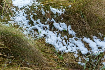 Snow malting on grass at spring or autumn