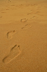 Footsteps in the sand