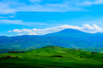 Tuscany, rural landscape in spring. Countryside  green field and