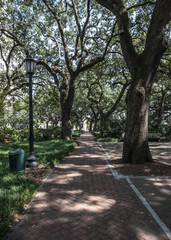 Live Oak Trees and Brick Path in Savannah