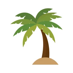 Poster tree palm isolated icon vector illustration design © Gstudio