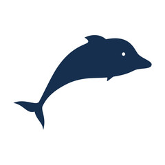 dolphin silhouette isolated icon vector illustration design