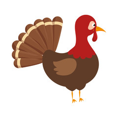 Thanksgiving turkey character icon vector illustration design