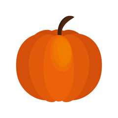 pumpkin thanksgiving food icon vector illustration design