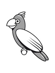 Fototapeta premium Parrot funny child striped