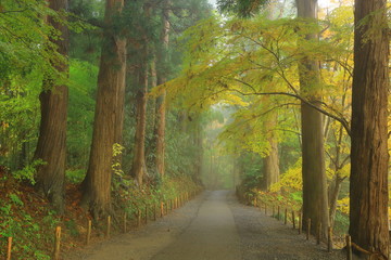 Obraz premium 世界遺産 平泉 紅葉の中尊寺