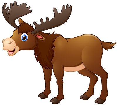 Cute moose cartoon