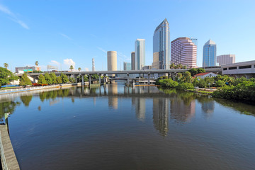 Fototapeta na wymiar Partial skyline and USF Park in Tampa, Florida