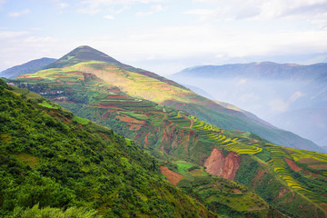 Mustard and flower field in autumn at countryside of DongChuan red land, one of the landmarks in Kunming, yunnan province China. (With fog, mist, haze and smoke effect at background.)