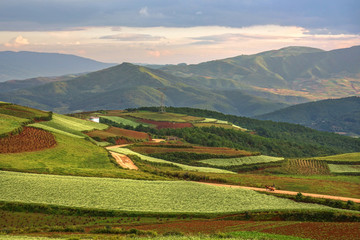 Mustard and flower field in autumn at countryside of DongChuan red land, one of the landmarks in Kunming, yunnan province China. (With fog, mist, haze and smoke effect at background.) 
