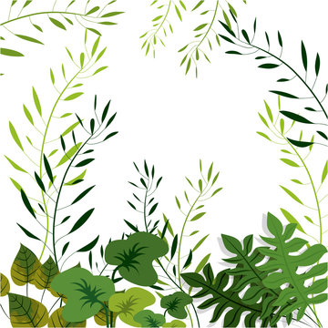 Tropical leaves icon. Nature plant  botany summer and natural theme. Vector illustration