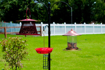 Three bird feeders outdoors