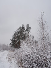 After a heavy snowfall.