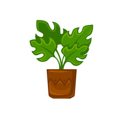 Pot plant with flower and leave. Vector illustration.