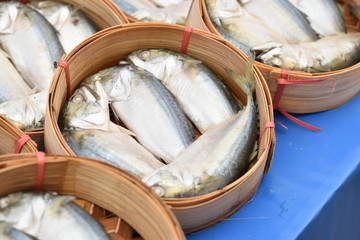 Mackerel fish in bamboo basket at the market Thailand. Image has shallow depth of field.