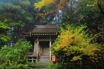 Fototapeta premium 世界遺産 平泉 紅葉の中尊寺
