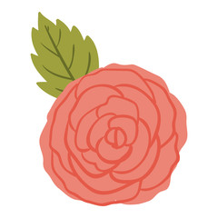 Rose flower icon. Decoration rustic garden floral nature plant and spring theme. Isolated design. Vector illustration