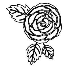 Rose flower icon. Decoration rustic garden floral nature plant and spring theme. Isolated design. Vector illustration
