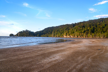 Tropical beach at low tide