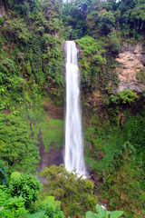 Waterfall in a rainforest