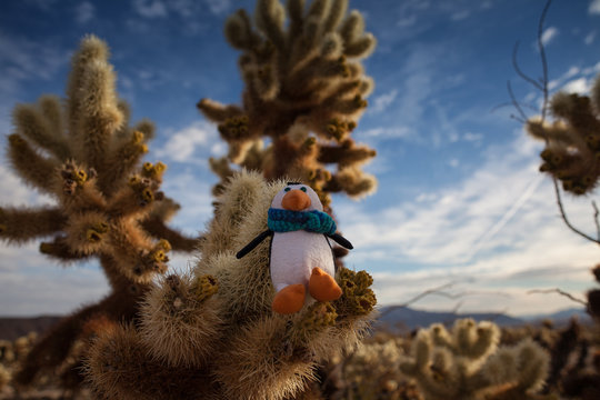 Toy penguin in the Joshua Tree National Park Yucca Valley in Mohave desert California USA