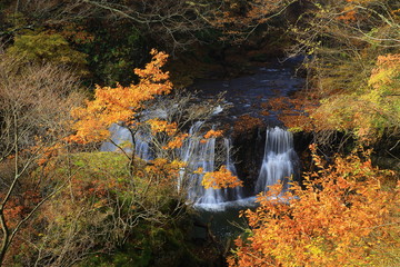 葛丸渓流　紅葉の一の滝