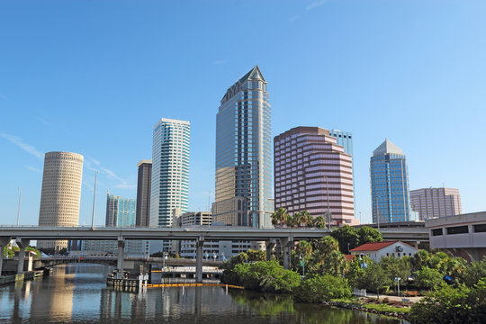 Partial skyline and USF Park in Tampa, Florida