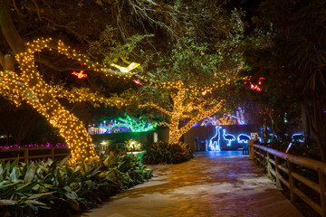 Houston Zoo Light decoration for christmas