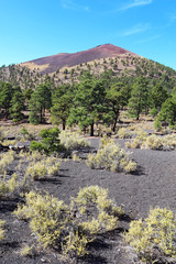 Sunset Crater volcanic cinder cone near Flagstaff, Arizona verti